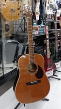 Greg Bennett D-7/N Acoustic