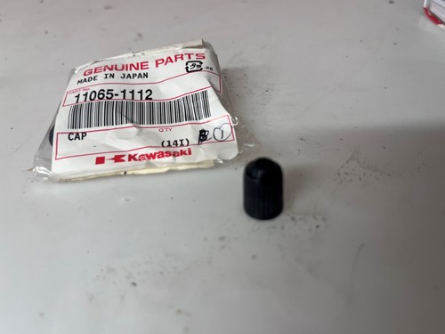 New genuine kawasaki gtr1400 - genuine,