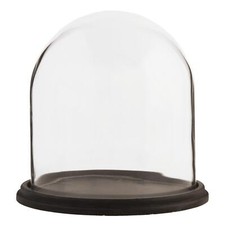 Glass Display Bell Jar Round Cloche on Dark Wood Base Display Stand 22cm