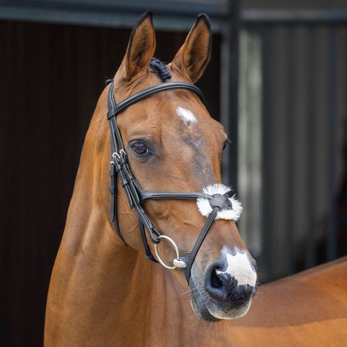Lusso grackle bridle - lusso,