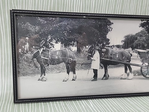Vintage photograph eastbourne - vintage,