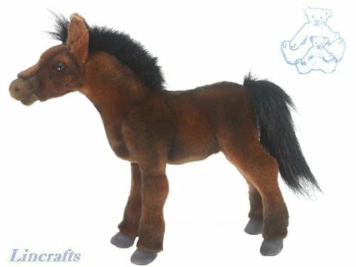 Hansa thoroughbred foal 5470 - hansa,