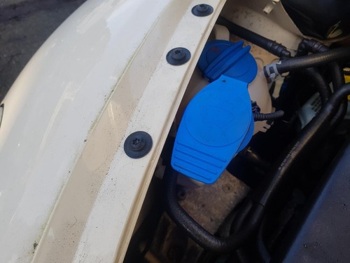 Volkswagen beetle mk2 - 1y, 98-11