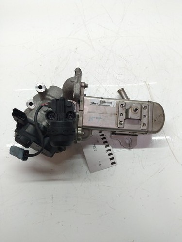 Exhaust gas cooler - for, ford