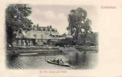 Middlesex twickenham eel - middlesex,