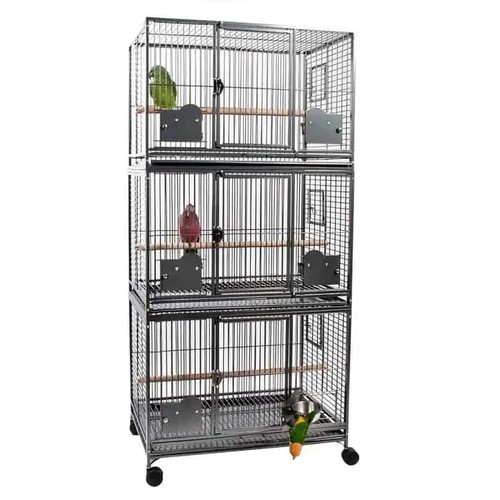 Parrot supplies - parrot, triple