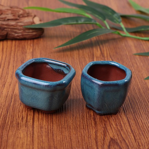 Mini plant pots flower - plant,