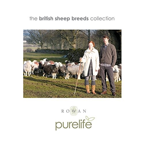 British sheep breeds - british,