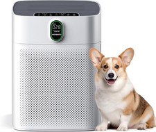 MORENTO Air Purifiers PM2.5
