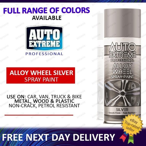 Auto spray paint - paint, can