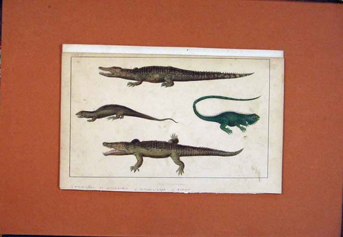 Original old antique - original, print