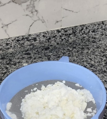 Organic kefir grains - kefir, g