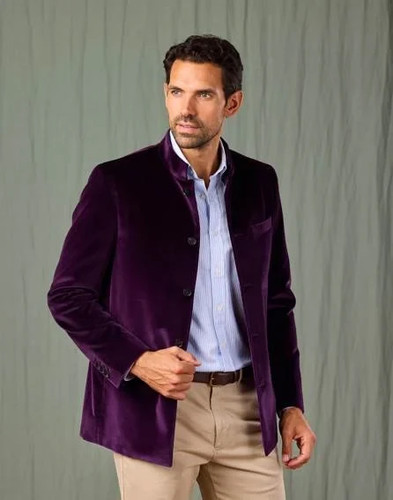 Joseph turner purple - turner, velvet