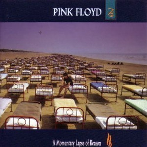 Momentary lapse reason - lapse,