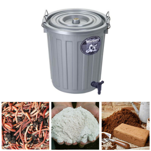 Junior wormery includes coir - junior, &