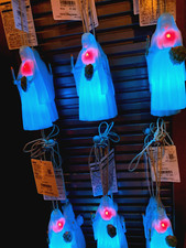 Last One !!!!     Disneyland