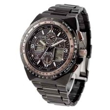 Citizen Promaster Sky