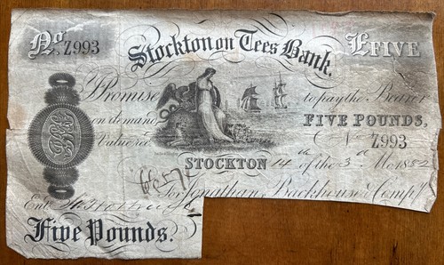 Stockton tees 1882 white - tees,