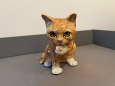 Winstanley Ginger Cat Size 3 licking paw