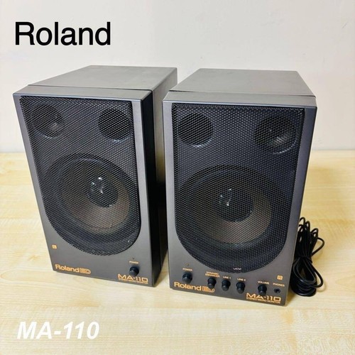 Roland 110 stereo - roland,