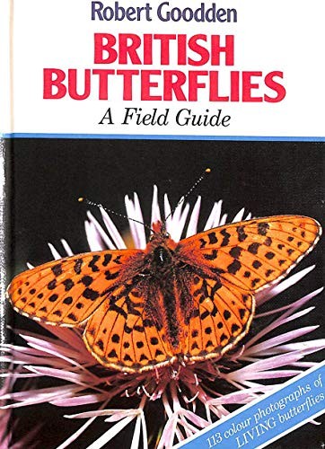 British butterflies field - butterflies:,