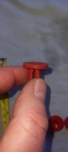 Engine undertray trim cover - engine,