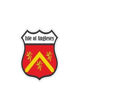 Anglesey shield flag - x,
