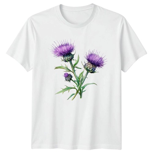 Thistle scottish flower flora - thistle,