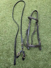 Black Inhand Bridle And Show