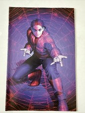 Spider-Man #1 Double Exposure