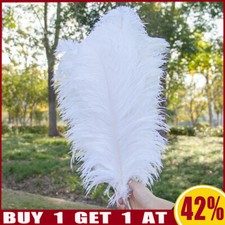 10Pcs Large Super Fluffy Ostrich Feathers Wedding Party Costume Decor 25-30cm