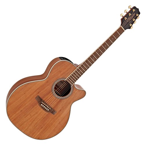Takamine guitar electro - takamine,