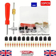 33pcs tyre brass valve - valve, core