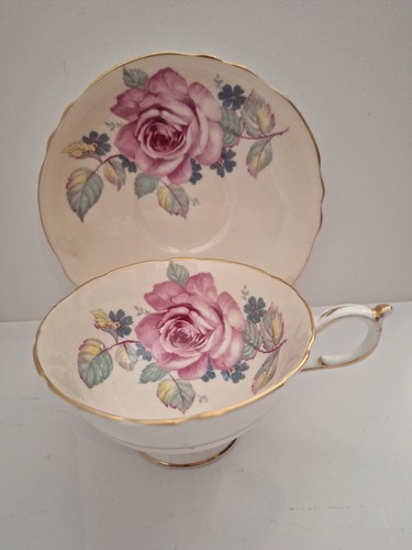 Paragon bone china cabinet - bone,