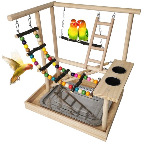 Parakeet activity center with - parakeet,