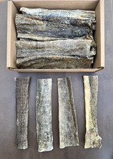 Short 7'' Icelandic Wild Cod