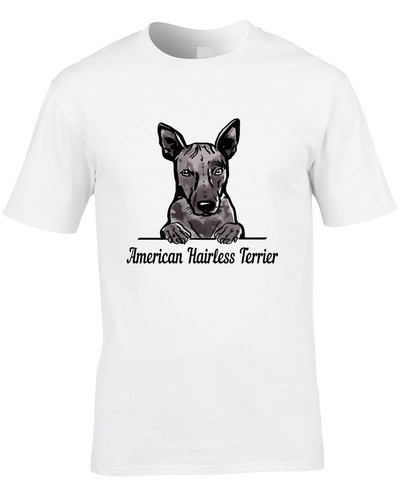 American hairless terrier - american,