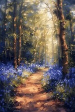 BLUEBELL WOODLAND FOREST CANVAS PICTURE PRINT WALL ART