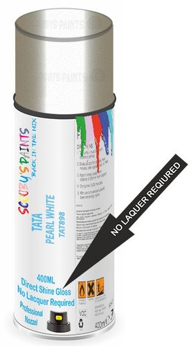 Direct shine paint - shine,