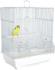 Santa cruz small bird - santa,