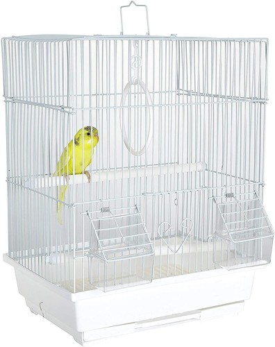 Santa cruz small bird - small,