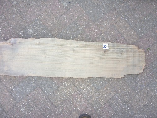 Large driftwood - large,