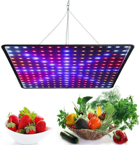 Led grow light 2000w - led,