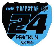 ODI DH Mountain Bike Front