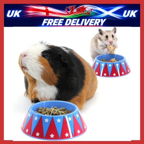 Circus mini pig food bowl - mini,