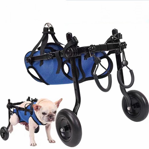 Small dog rear - small,