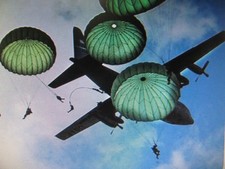 NEW   US Military T-10