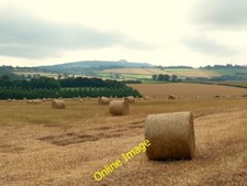 Photo 6x4 Bales of rape straw