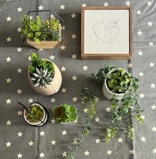 Adults Assorted Decorative Plants Ornaments/Homeware