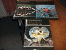 The Illustrated Encyclopedia